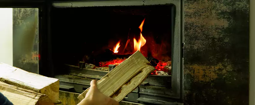 Wood-Burning Fireplace Smell Removal Services in Newton Robinson, Ontario