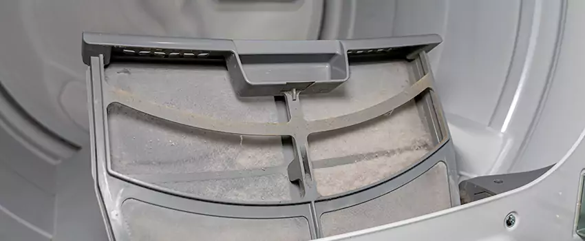 Benefits of Professional Clogged Dryer Vent Cleaning in Newton Robinson, Ontario