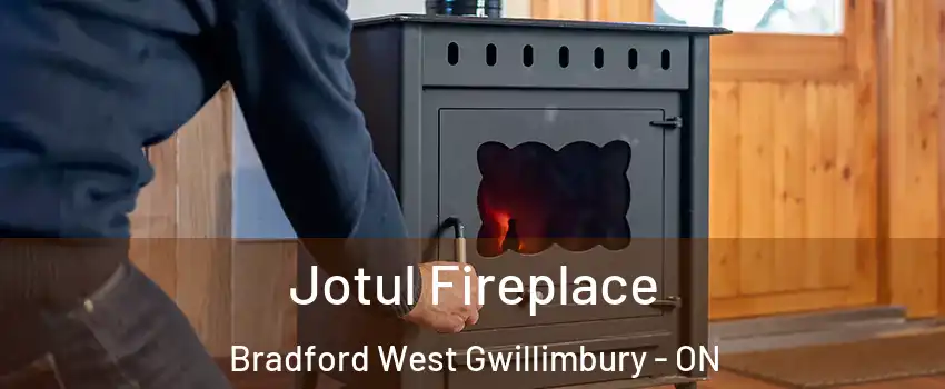  Jotul Fireplace Bradford West Gwillimbury - ON