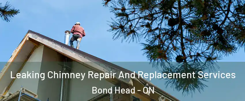  Leaking Chimney Repair And Replacement Services Bond Head - ON
