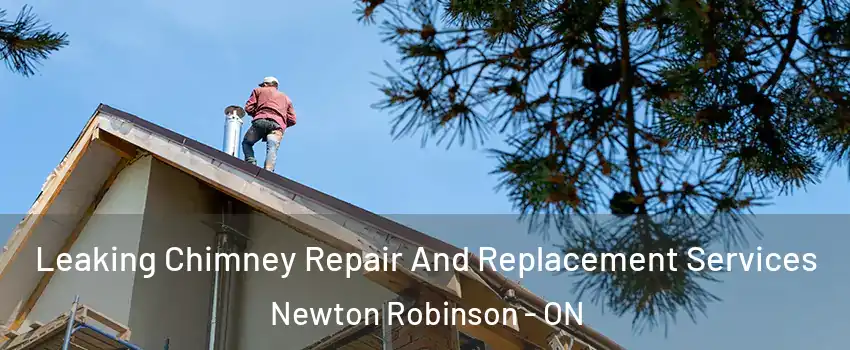  Leaking Chimney Repair And Replacement Services Newton Robinson - ON