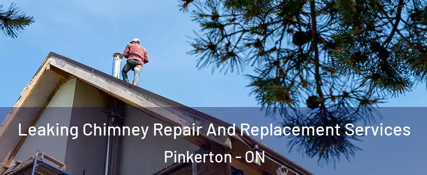  Leaking Chimney Repair And Replacement Services Pinkerton - ON