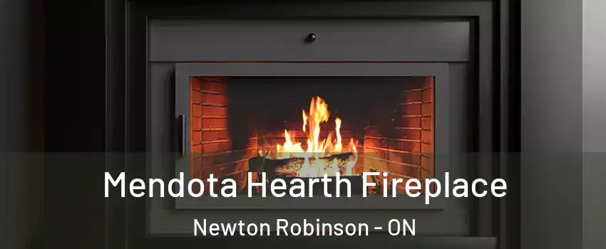 Mendota Hearth Fireplace Newton Robinson - ON