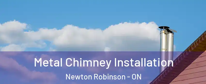  Metal Chimney Installation Newton Robinson - ON