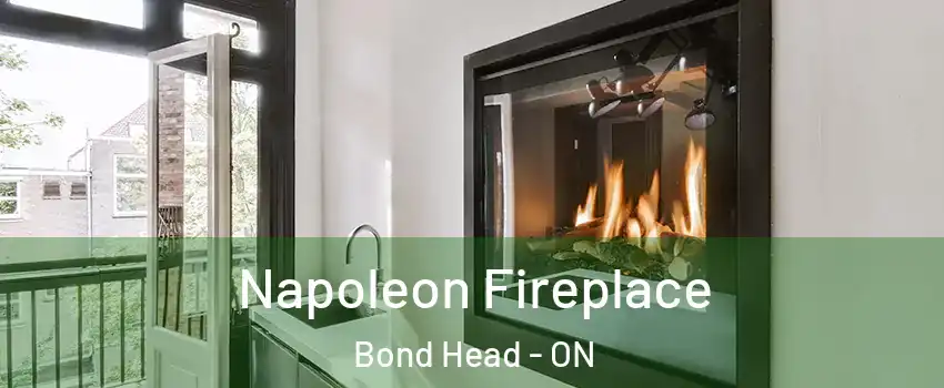  Napoleon Fireplace Bond Head - ON