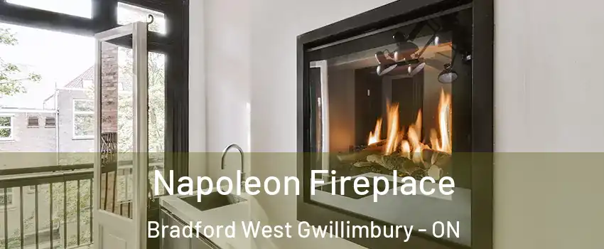  Napoleon Fireplace Bradford West Gwillimbury - ON