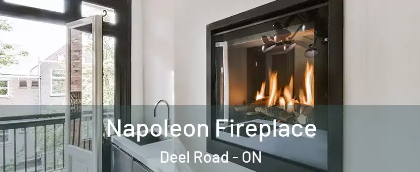  Napoleon Fireplace Deel Road - ON