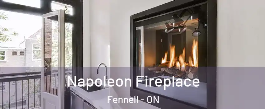  Napoleon Fireplace Fennell - ON