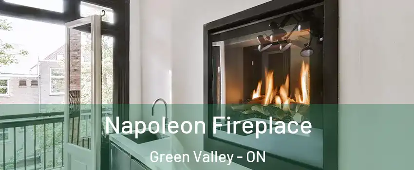  Napoleon Fireplace Green Valley - ON