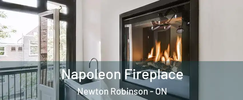 Napoleon Fireplace Newton Robinson - ON