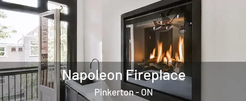  Napoleon Fireplace Pinkerton - ON