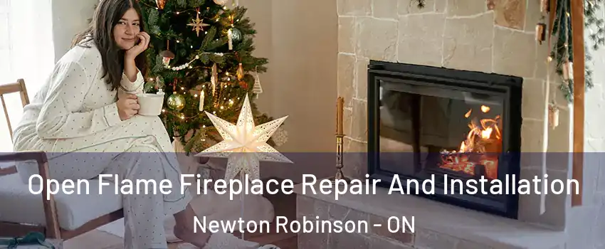  Open Flame Fireplace Repair And Installation Newton Robinson - ON