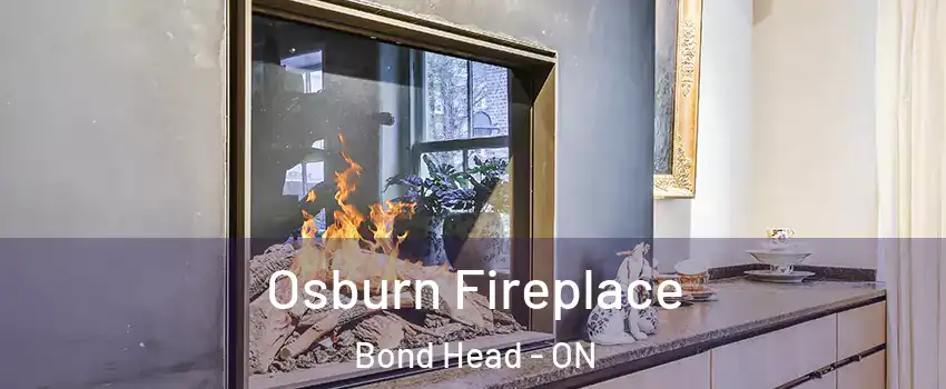  Osburn Fireplace Bond Head - ON