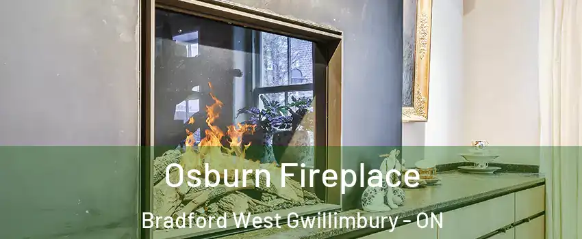  Osburn Fireplace Bradford West Gwillimbury - ON