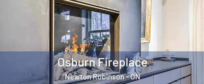  Osburn Fireplace Newton Robinson - ON