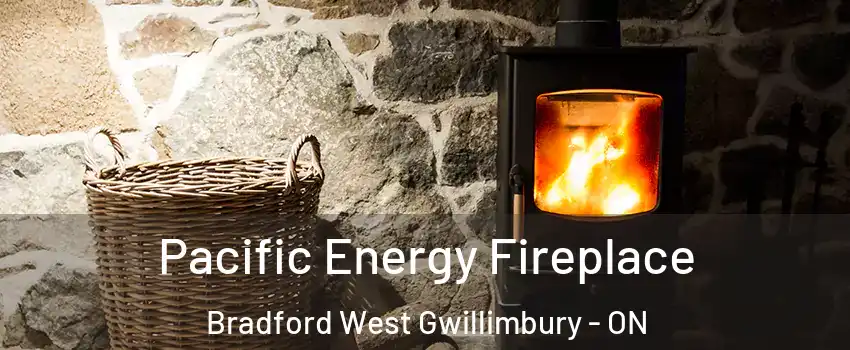  Pacific Energy Fireplace Bradford West Gwillimbury - ON