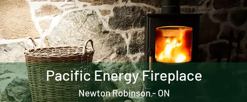  Pacific Energy Fireplace Newton Robinson - ON