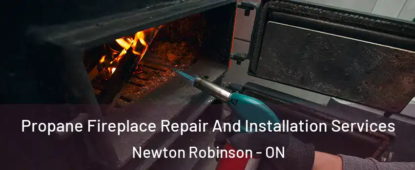Propane Fireplace Repair And Installation Services Newton Robinson - ON
