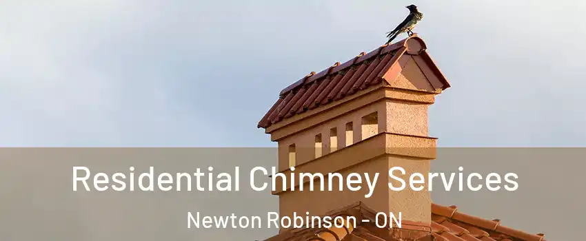  Residential Chimney Services Newton Robinson - ON