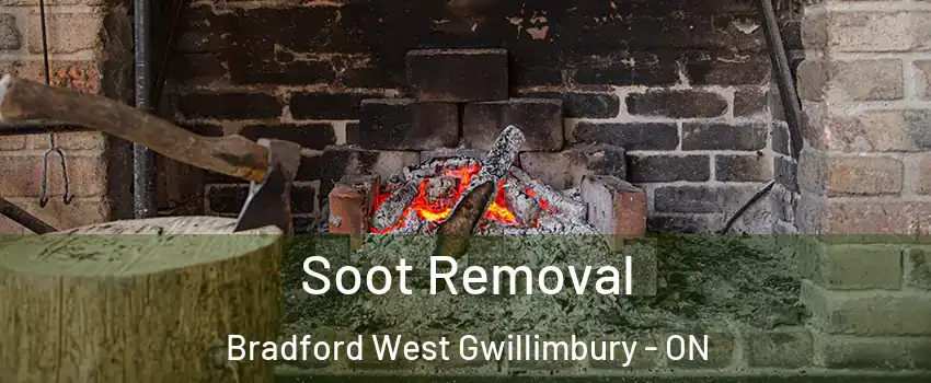 Soot Removal Bradford West Gwillimbury - ON