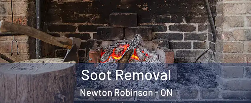  Soot Removal Newton Robinson - ON