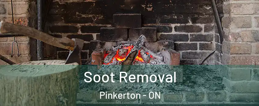  Soot Removal Pinkerton - ON