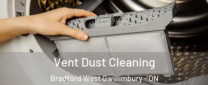  Vent Dust Cleaning Bradford West Gwillimbury - ON