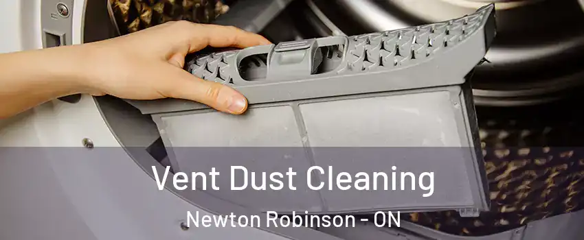  Vent Dust Cleaning Newton Robinson - ON