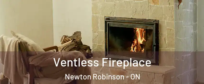 Ventless Fireplace Newton Robinson - ON
