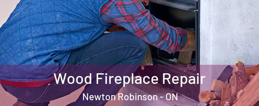  Wood Fireplace Repair Newton Robinson - ON