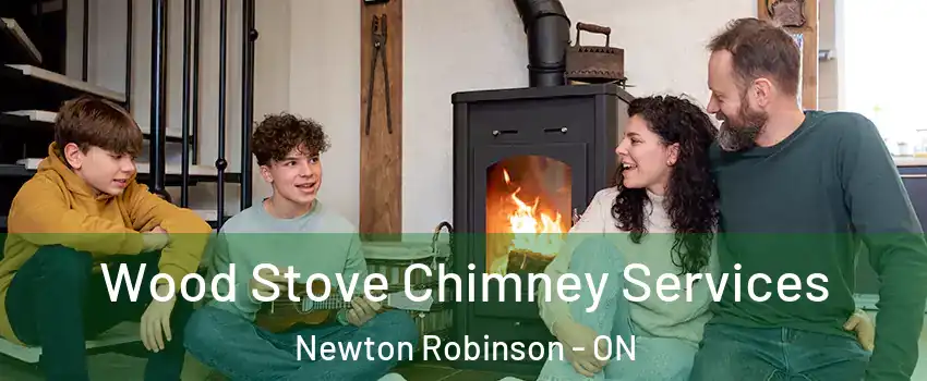  Wood Stove Chimney Services Newton Robinson - ON