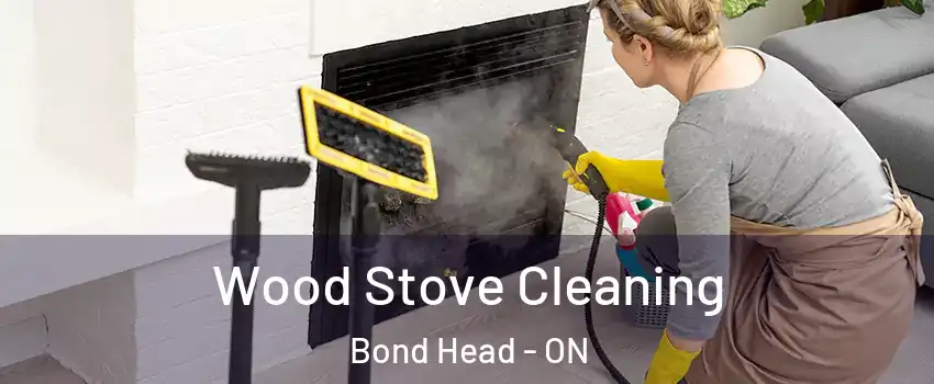  Wood Stove Cleaning Bond Head - ON