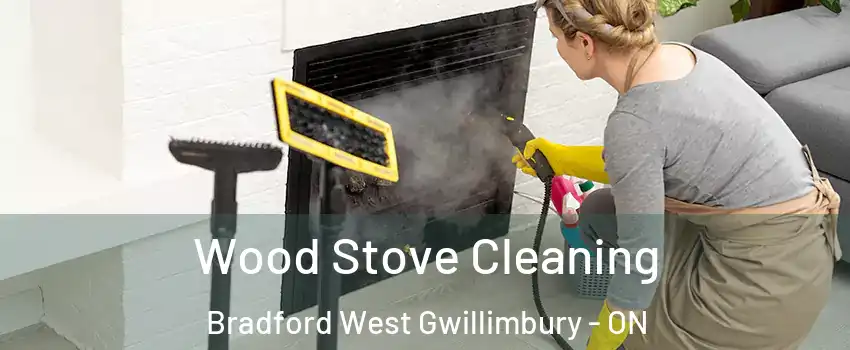  Wood Stove Cleaning Bradford West Gwillimbury - ON