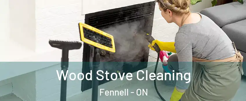  Wood Stove Cleaning Fennell - ON