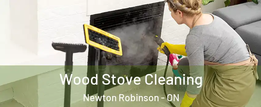  Wood Stove Cleaning Newton Robinson - ON