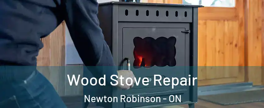  Wood Stove Repair Newton Robinson - ON